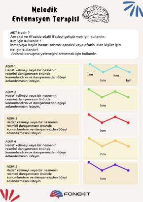 Melodik Entonasyon Terapisi
